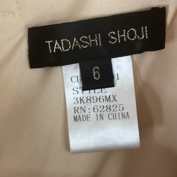 Tadashi Shoji Primrose Embroidered Lace Sheath Cocktail Dress Ivory Nude Size 6 - Picture 8 of 15